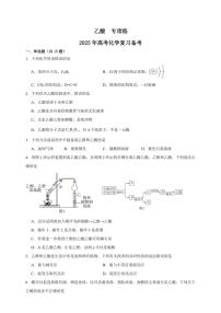 2025年高考化学一轮复习备考专项练 乙酸