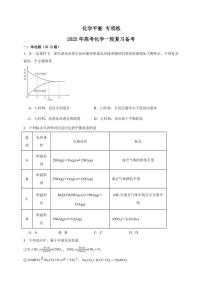 2025年高考化学一轮复习备考专项练 化学平衡