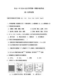 广东省台山市第一中学2024-2025学年高一上学期11月期中考试化学试题