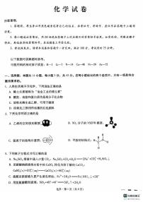 2025届重庆巴蜀中学高三上学期11月月考化学试题+答案