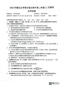 湖北云学名校联盟2024年高二11月联考化学试卷（含答案）