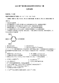 广西壮族自治区梧州市龙圩区2024-2025学年高三上学期一模考试 化学试题