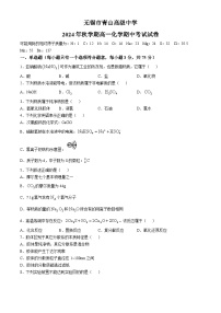 江苏省无锡市青山高级中学2024-2025学年高一上学期期中化学试卷(无答案)