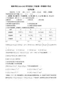 广东省河源市源城区城东学校2024-2025学年高二上学期期中考试  化学试题(无答案)