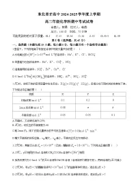 辽宁省沈阳市东北育才学校2024-2025学年高二上学期期中考试 化学试题(无答案)