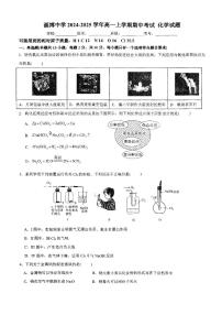 山东省淄博市淄博中学2024-2025学年高一上学期期中考试++化学试卷