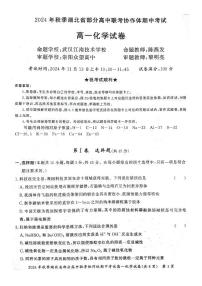 2025湖北省部分高中联考协作体高一上学期11月期中考试化学PDF版含解析