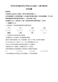 精品解析：四川省泸州市龙马潭区泸化中学2024-2025学年高一上学期11月期中化学试题