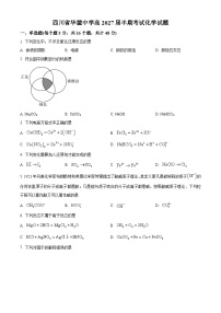 精品解析：四川省广安市华蓥中学2024-2025学年高一上学期11月期中考试 化学试题