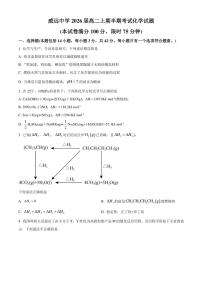 四川省内江市威远中学2024～2025学年高二(上)期中化学试卷(含答案)