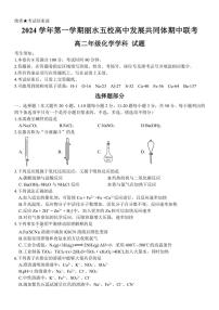 浙江省丽水市五校高中发展共同体2024～2025学年高二(上)期中化学试卷(含答案)