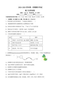 福建省福州十校2024～2025学年高三(上)期中化学试卷(含答案)