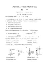 江苏省宿迁市2024～2025学年高三(上)期中化学试卷(含答案)