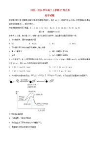 北京市顺义区2023_2024学年高二化学上学期10月月考试题含解析