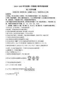 山东省济宁市2024-2025学年高三上学期期中考试化学试卷（Word版附答案）