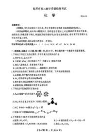 山东省临沂市2024-2025学年高三上学期11月期中考试化学试卷（PDF版附答案）