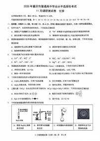 2025届重庆市康德卷高三上学期11月考-化学试卷+答案