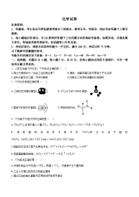 重庆市巴蜀中学2024-2025学年高三上学期11月月考化学试卷（Word版附解析）