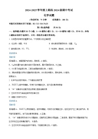 四川省成都市第七中学2024-2025学年高一上学期期中考试化学试卷（Word版附解析）