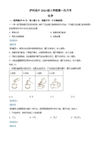 四川省泸州高中2024-2025学年高一上学期第一次月考化学卷试卷（Word版附解析）