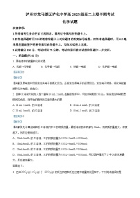 四川省泸州市泸化中学2024-2025学年高二上学期期中化学试卷（Word版附解析）