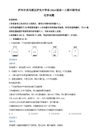 四川省泸州市泸化中学2024-2025学年高一上学期期中化学试卷（Word版附解析）