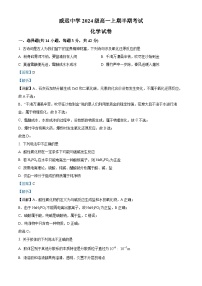 四川省内江市威远中学2024-2025学年高一上学期期中考试化学试卷（Word版附解析）