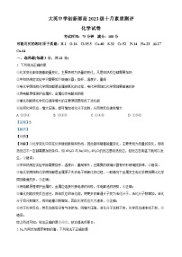 四川省遂宁市大英中学2024-2025学年高二上学期10月月考化学试卷（Word版附解析）