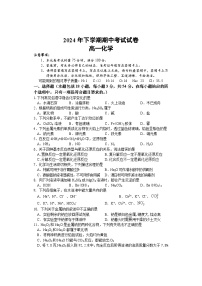 湖南省邵阳市武冈市2024-2025学年高一上学期期中考试化学试卷（Word版附答案）
