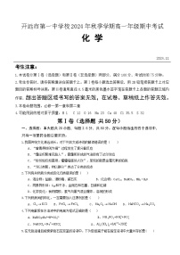 云南省开远市第一中学校2024-2025学年高一上学期期中检测 化学试题