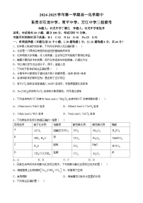 广东省东莞市石龙中学、常平中学、万江中学三校2024-2025学年高一上学期期中联考化学试题(无答案)