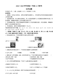 广东省衡水金卷2024-2025学年高一上学期11月联考化学试卷（Word版附解析）