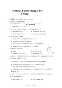 四川省眉山市东坡区校校联合考试2024-2025学年高二上学期11月期中联考 化学试题