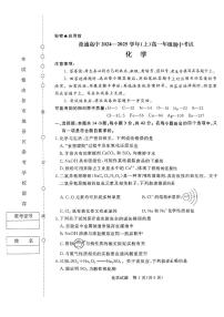 河南省驻马店市普通高中2024-2025学年高一上学期期中考试 化学试题