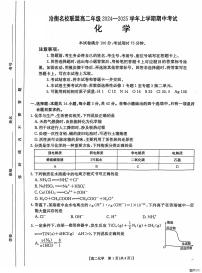 河北省沧州市名校联盟2024-2025学年高二上学期11月期中考试 化学试题