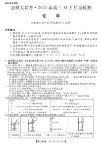 河南省金科新未来大联考2024-2025学年高三上学期11月月考化学试题+答案