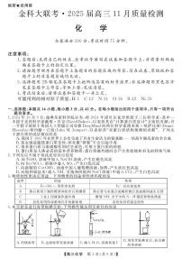 2025届河南金科大联考高三上学期11月质检化学试题+答案