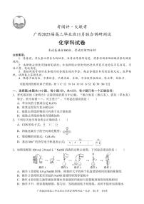 广西壮族自治区2024-2025学年高三上学期11月联考 化学试题