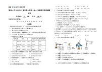 山西省阳泉市第一中学校2024-2025学年高一上学期11月期中考试 化学试题