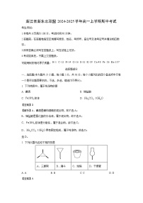 2024-2025学年浙江省浙东北联盟高一(上)期中化学试卷(解析版)