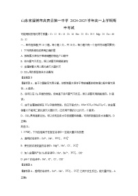 2024-2025学年山东省淄博市高青县第一中学高一(上)期中化学试卷(解析版)