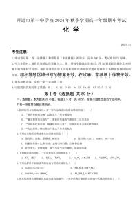 云南省开远市第一中学校2024～2025学年高一(上)期中检测化学试卷(含答案)