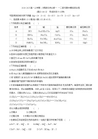 2024-2025学年高一上学期化学人教版（2019）必修第一册 期中模拟综合卷