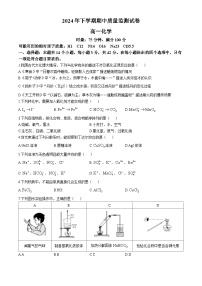 湖南省浏阳市2024-2025学年高一上学期期中质量监测化学试题（Word版附答案）