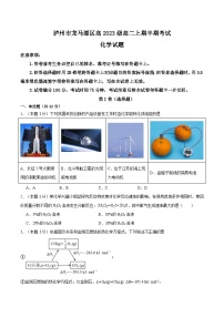 四川省泸州市龙马潭区2024-2025学年高二上学期11月期中考试化学试题