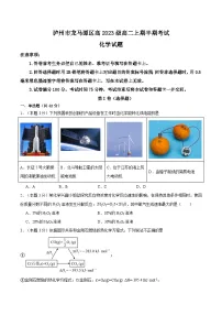 四川省泸州市龙马潭区2024-2025学年高二上学期11月期中考试化学试题