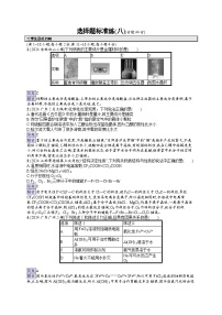 备战2025年高考二轮复习化学（广东版）选择题标准练8（Word版附解析）