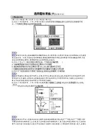 备战2025年高考二轮复习化学（广东版）选择题标准练6（Word版附解析）