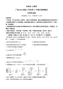 广西南宁市2024-2025学年高三上学期11月联考 化学试题