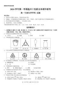 浙江省温州市十校联合体2024-2025学年高一上学期11月期中考试 化学试题